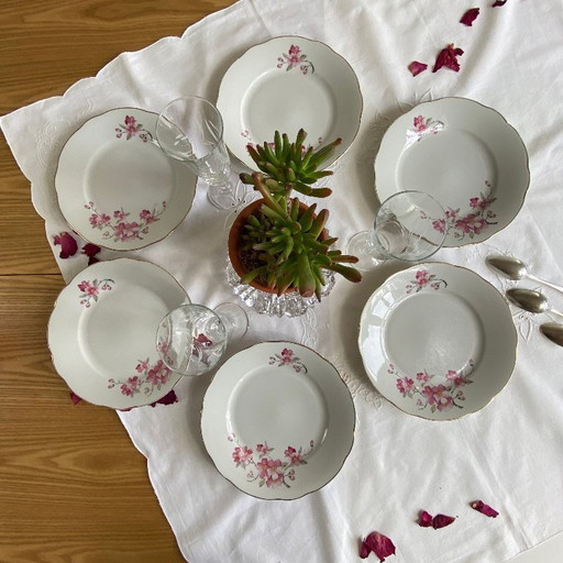 Set of 6 antique Royal Tognana porcelain dessert plates, Italy