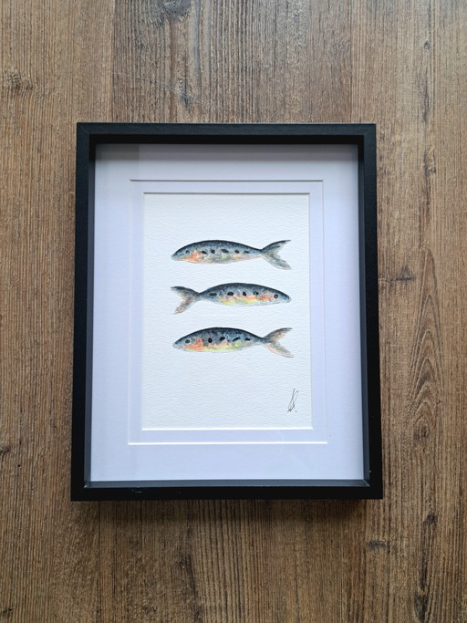 Peinture Aquarelle Originale Sardines | Cadre Inclus