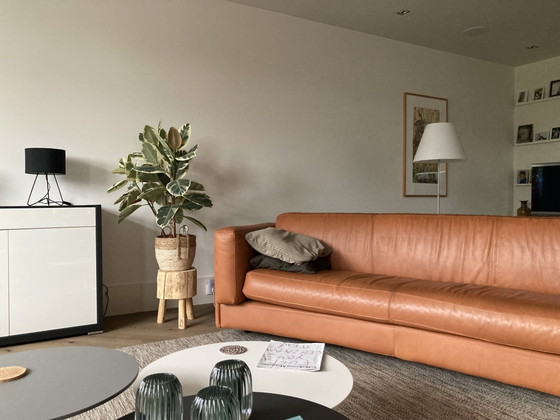 Divano curvo Gelderland 5526 B 3 – Divani 3 posti, Pelle (photo 6 of 6)