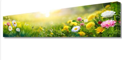 Ole Maning ----Fleurs d'été (sur toile)