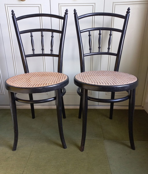 2x Thonet Stühle