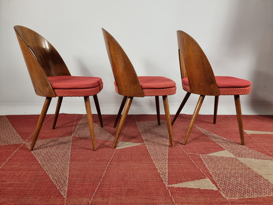 Image 1 of Vintage Chairs By Antonin Suman, 1960S, Set Of 3