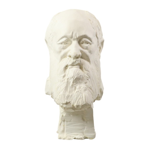 Vieil homme barbu à gros buste