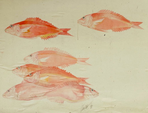 Poisson aquarelle vintage - Vivaneau rouge