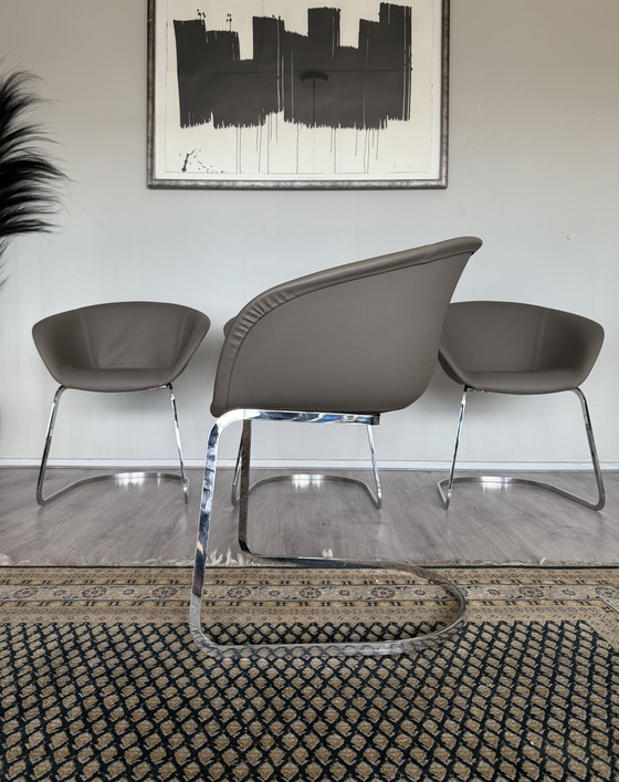 Image 1 of 4x Chaise Arper Duna Design by Lievore Altherr Molina, ca2014