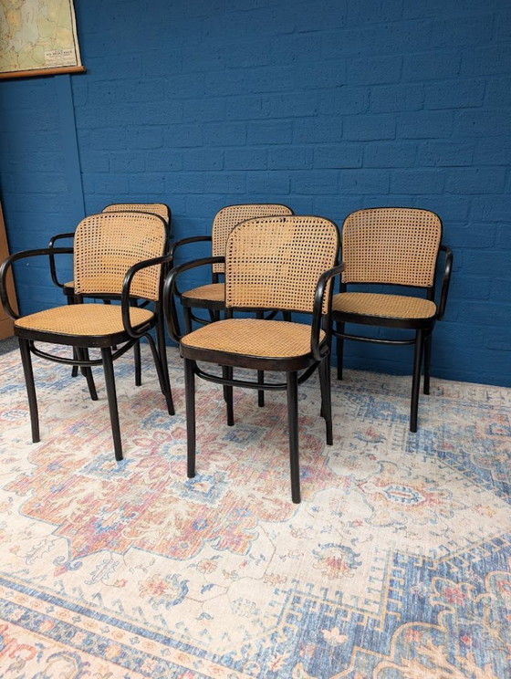 Image 1 of 5x Vintage Prague 811 chairs, Josef Hoffmann, 1960s