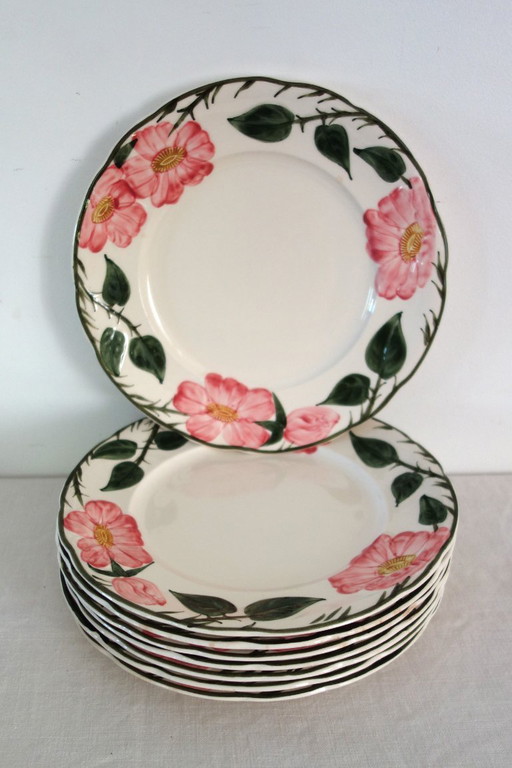 8 Villeroy & Boch Dessertteller „Wild Rose“, 1970 – servies, Porcelain