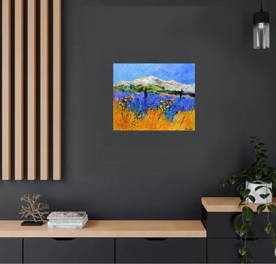 Image 1 of Lavender in Provence