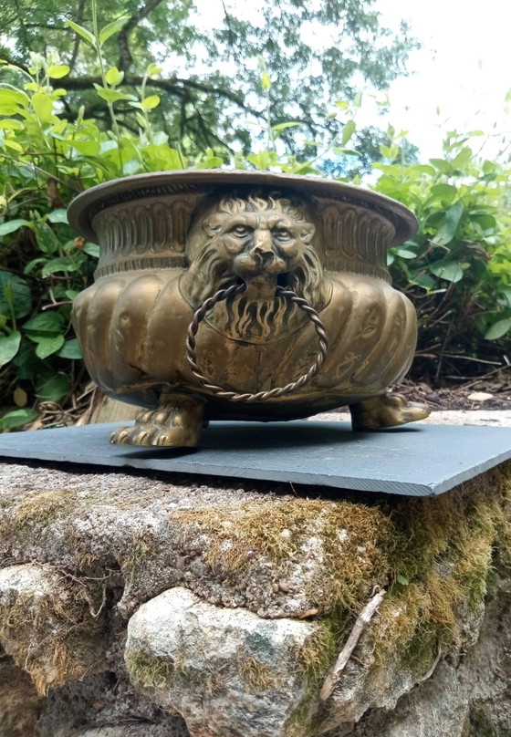 Gran maceta de latón con leones, siglo XIX – Brass, Art Nouveau (photo 2 of 5)