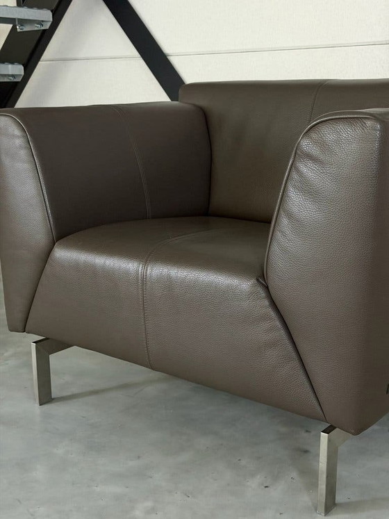 Poltrona Rolf Benz Linea - pelle marrone tortora – Poltrone, polished steel (photo 3 of 9)
