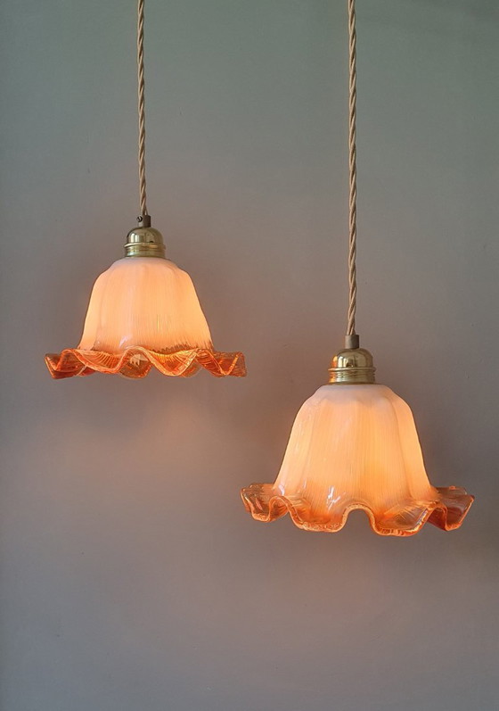 Set of Vintage Glass Pendant Lights. Floral / Flower-shaped Glass – Pendant lamps, Metal (photo 8 of 24)