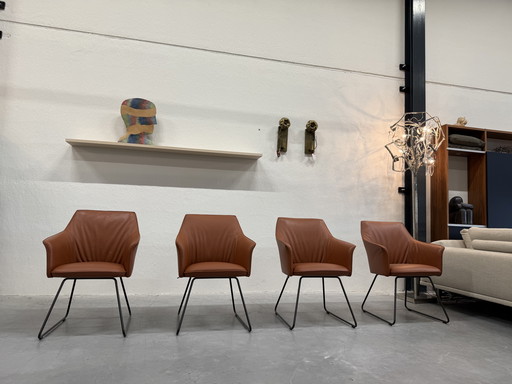 4 Leolux Mara Esszimmerstühle Wapiti Hawk Leder