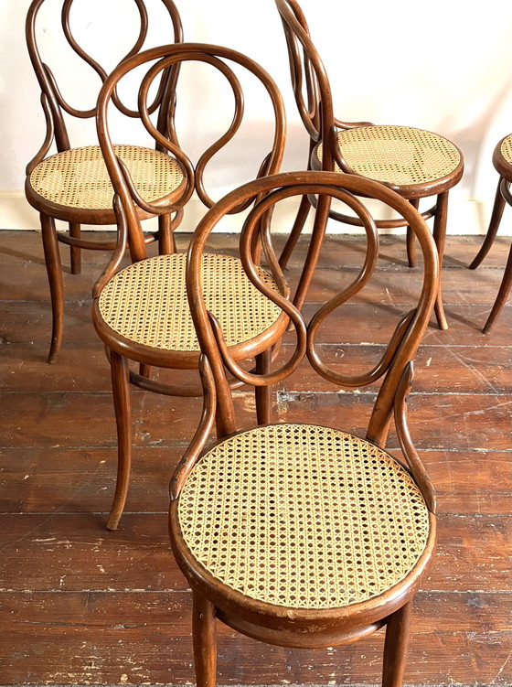 Image 1 of Seltene antike Thonet „Omega“ Modell 20, 5x Esszimmerstuhl aus Bugholz und Gurtband