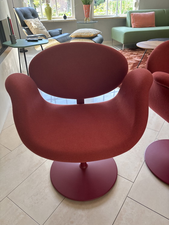 Image 1 of 4 Original Artifort Little Tulip Rosso (non rosso acceso). 1 anno. Acquistati da Gilsing Zevenaar