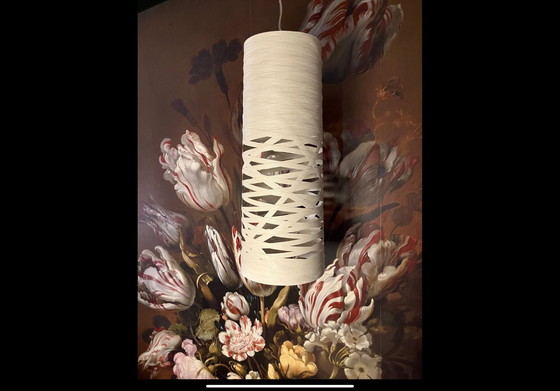 Image 1 of Lampada a sospensione FOSCARINI TRESS di Marc Sadler