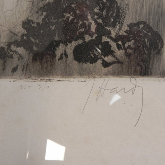 Image 1 of Litho Jean Hardy met dame en bloemen in de stijl van Louis Icart, jaren 20