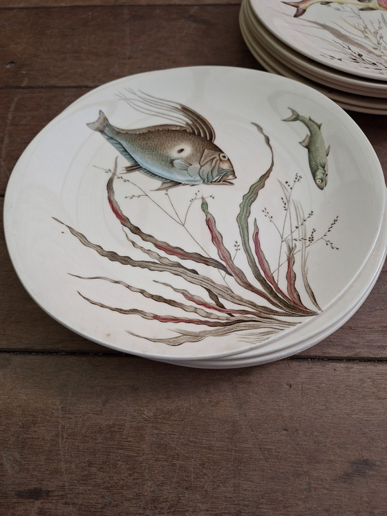 Image 1 of Juego de vajilla Johnson Bros FISH de 15 piezas