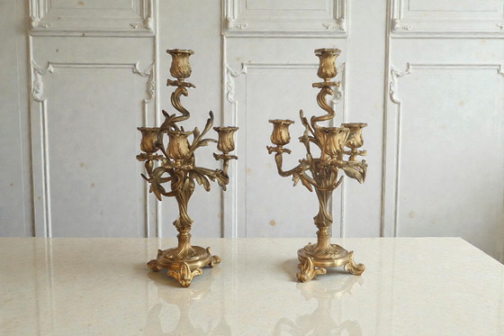 Image 1 of Pair of gilt bronze candelabra – Louis XV style – 19th century