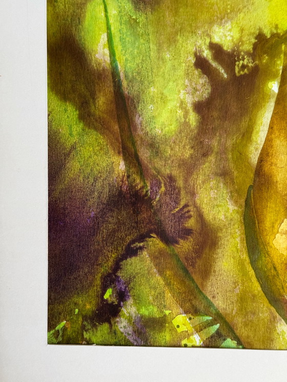 Image 1 of Eugène Eechaut (1928-2019) - Strelitzie - 1968. Signé