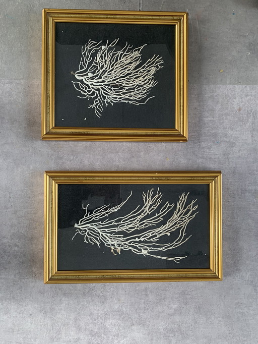 Vintage decorative frames gilded (pre-1975)