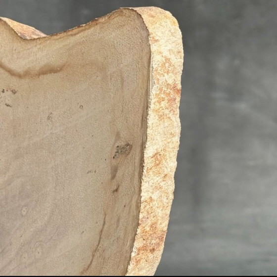 Image 1 of Madera fosilizada de Sooka, soporte hecho a medida (nuevo)