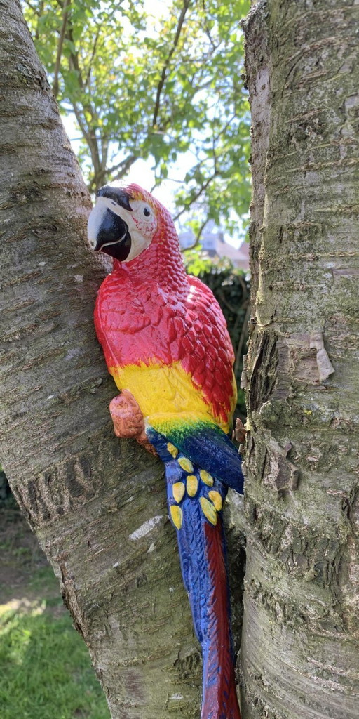 Set di pappagalli colorati – Decorazione da giardino vivace