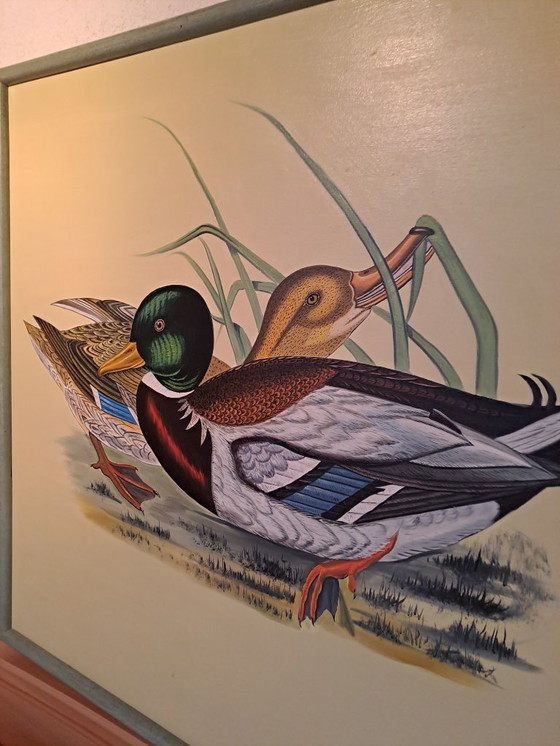 Image 1 of « Canards », huile sur toile