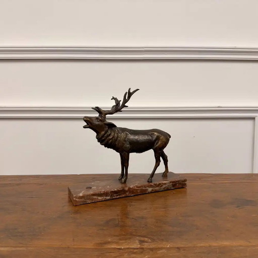 Acquistare scultura in bronzo di cervo nobile? - Ampia scelta!