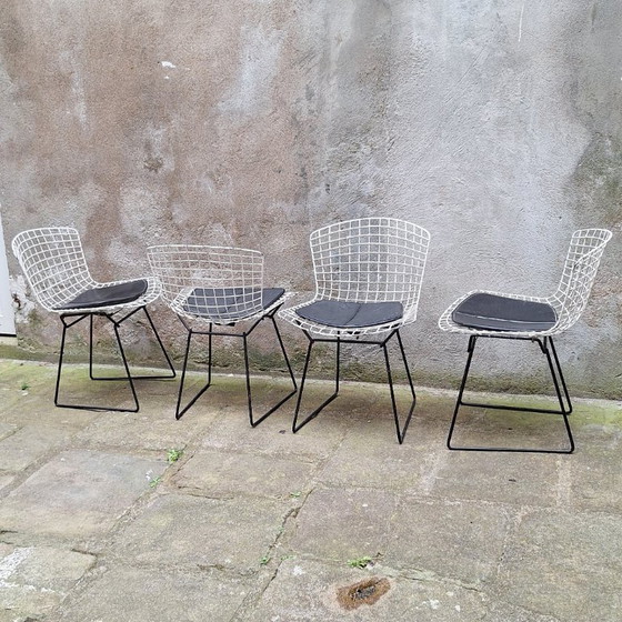 Image 1 of Set van 4 draadstoelen van Harry Bertoia, jaren 60.
