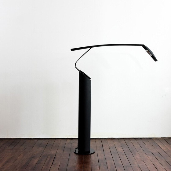 Image 1 of Vintage Dove Lettura floor lamp by Marco Colombo & Mario Barbaglia, 1980