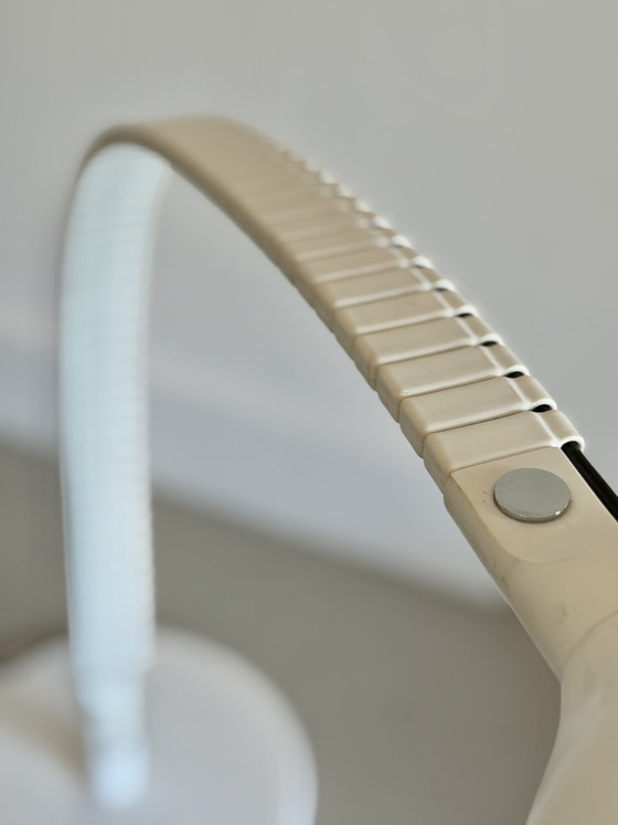 Flex Floor Lamp by Elio Martinelli for Martinelli Luce, Italy, 1960s – Vloerlampen, Metal, Plastic (photo 11 of 15)