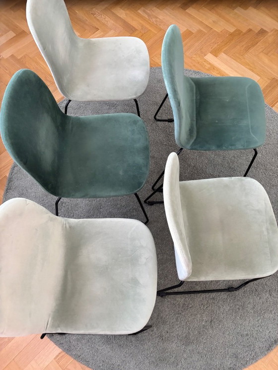 Image 1 of 5 chaises de salle à manger meublées