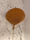 Lampada da parete vintage a forma di ventilatore, anni '60