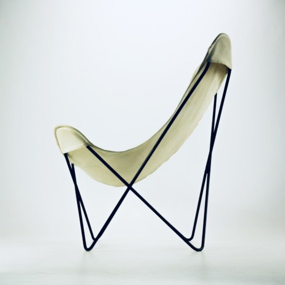 Original “Butterfly” Chair from the 1950s – Knoll, Chairs and lounge chairs, Metal, Canvas (photo 4 of 5)