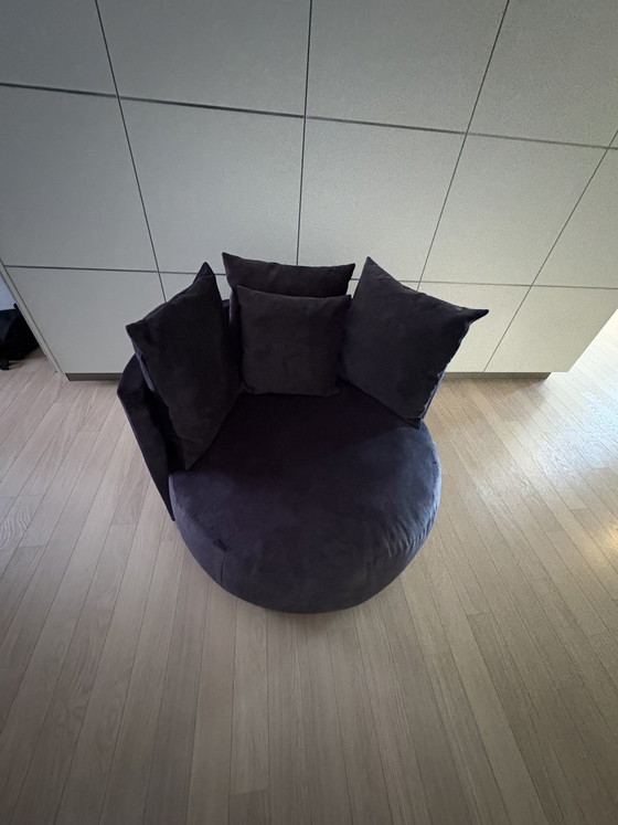 Poltroncina Loynge Velluto Nero Passe Partout – Poltrone, Velvet (photo 5 of 5)