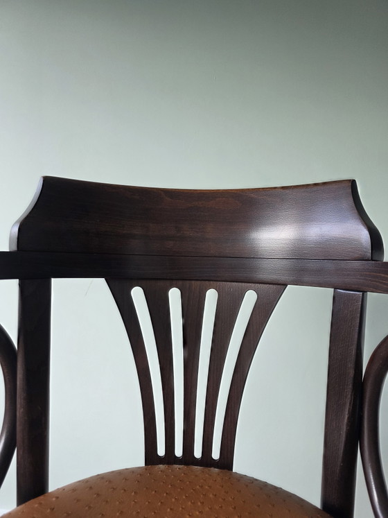 Image 1 of Chaise de café Satellite de style Thonet avec structure en autruche