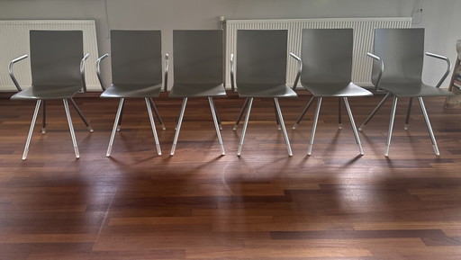 6x Arco Mikado Stoelen