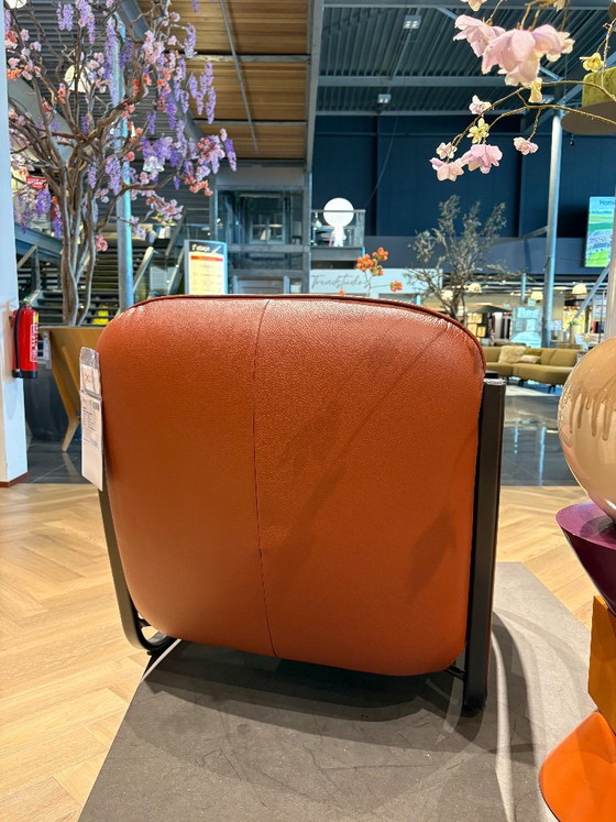 Poltrona Chap Pode. – Poltrone, Leather (photo 3 of 3)