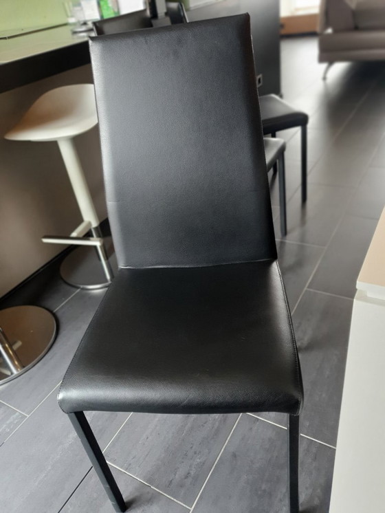 Image 1 of 6 sedie Marlene in pelle