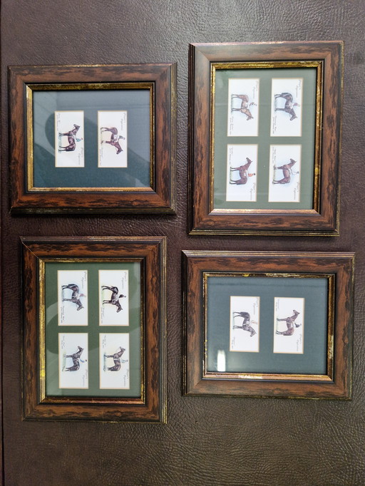 Framed horse prayer cards