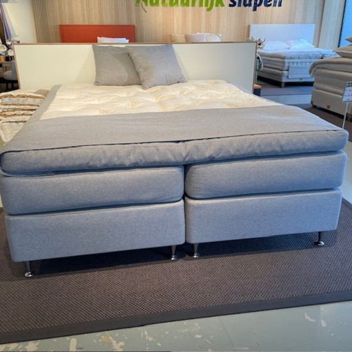 Ecolife - Agave Continental