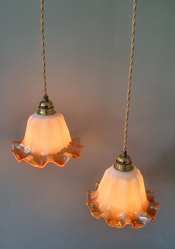 Set of Vintage Glass Pendant Lights. Floral / Flower-shaped Glass – Pendant lamps, Metal (photo 18 of 24)