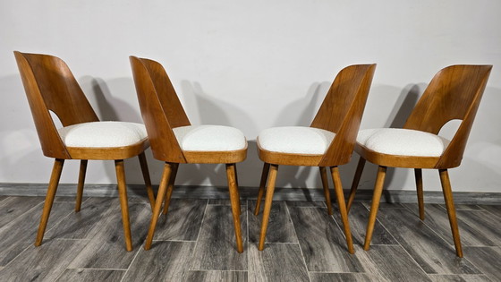 Image 1 of Eetkamerstoelen van Oswald Haerdtl