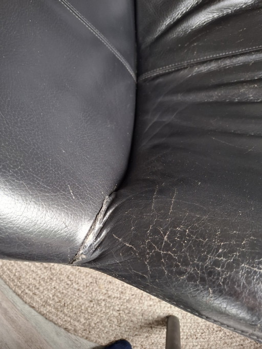 Leolux Papageno – fauteuils, Leather