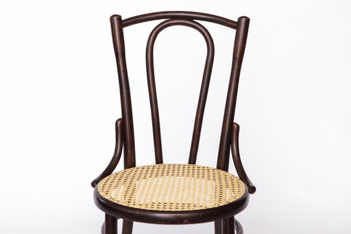 Fischel Bugholzstuhl - Anfang 20. Jahrhundert Thonet-Stil, Buchenholzrahmen mit neuem Rohrsitz, antiker Vintage-Stuhl