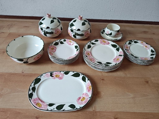 Vajilla Villeroy & Boch Wild Rose