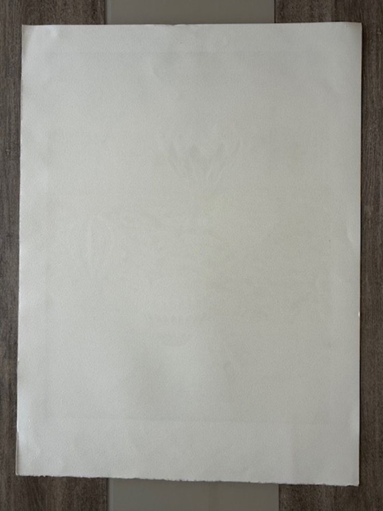 Image 1 of Litografia "In mongolfiera su Central Park" di François Fanch Ledan