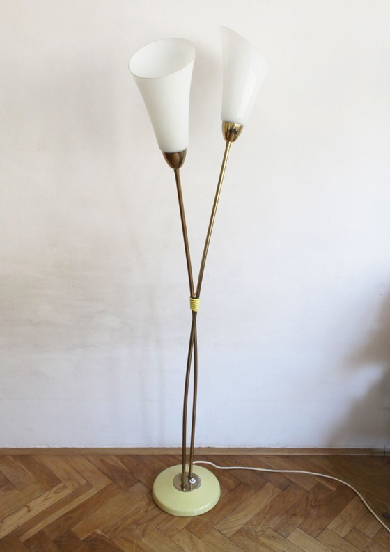 Image 1 of Organic Mid-Century Modern Floor Lamp in Brass and Milk Glass, Czechoslovakia