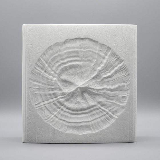 Image 1 of Martin Freyer Rosenthal Studio Line Bisque Porcelain Vintage H 24 cm Fossil Vase
