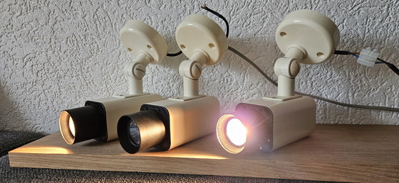 Image 1 of Herda fleckt 3 Stück